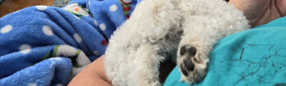 User banner image