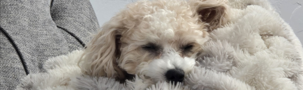 User banner image