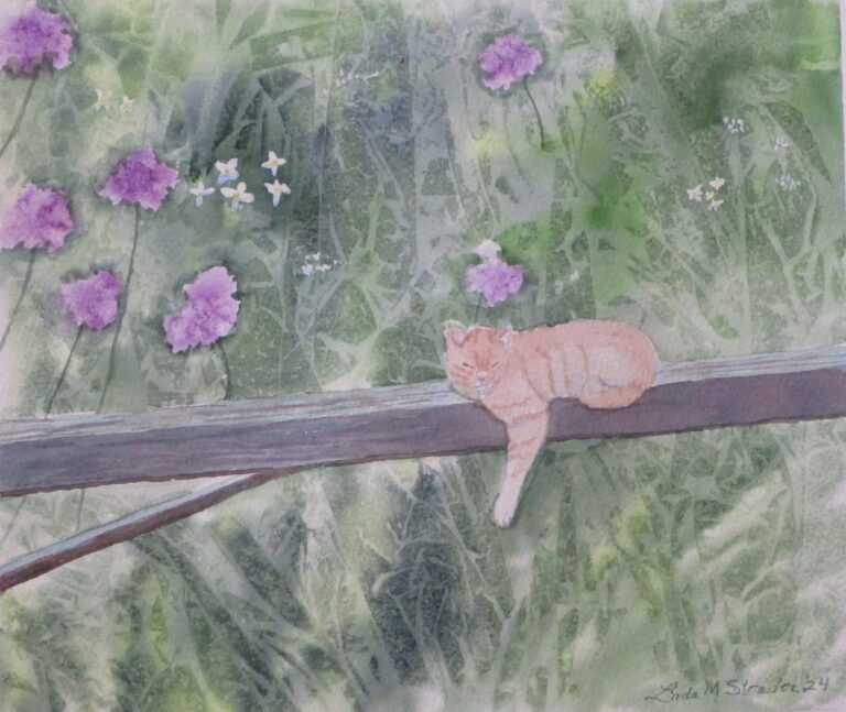 Cat Nap 10 x 12 2024 768x647