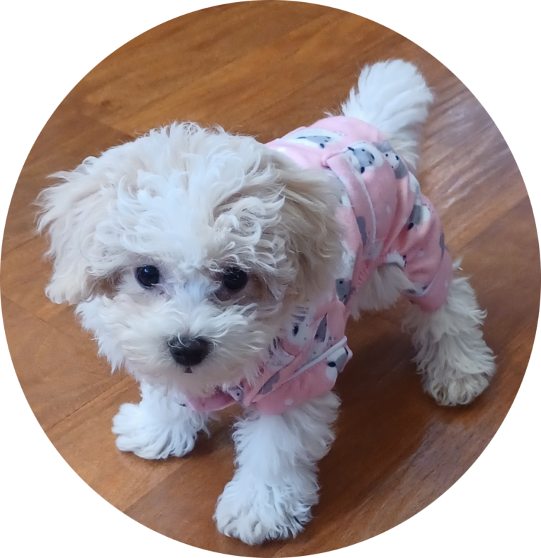 Chloe in Pajamas circle no background 768x793