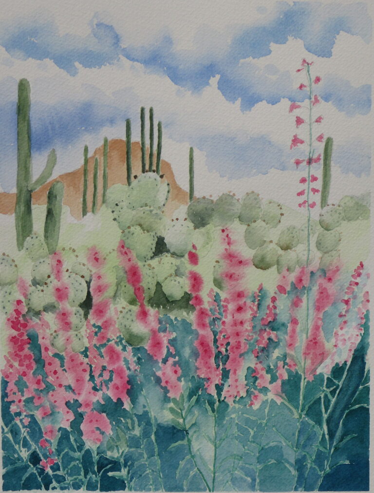 Desert Bloom 10 x 13 2025 768x1012
