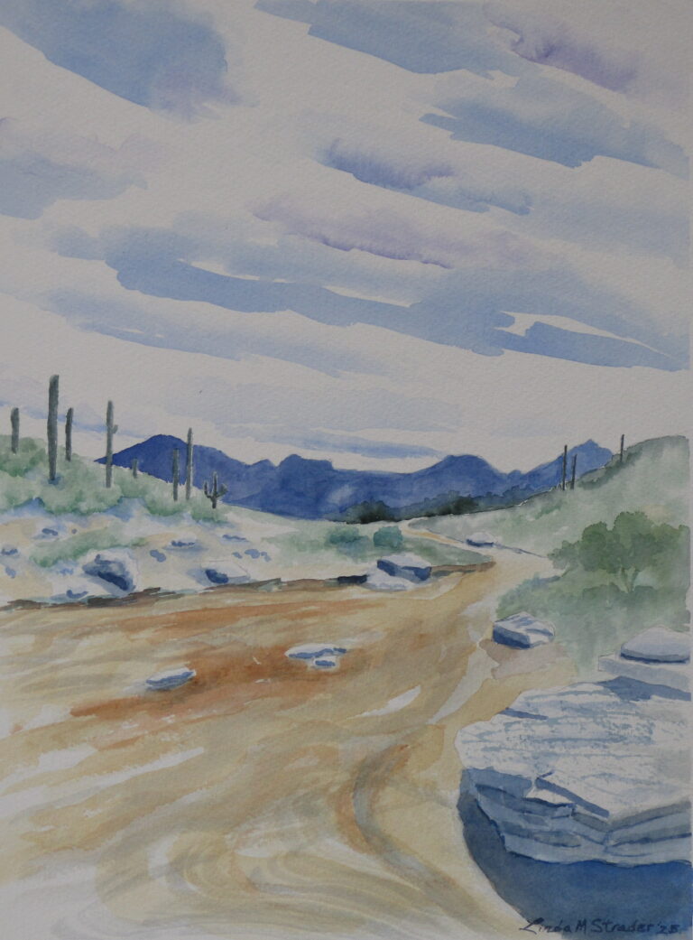Honeybee Canyon 11 x 15 2025 768x1041