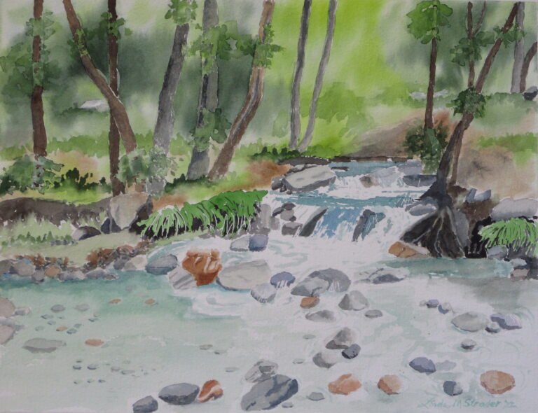 Madera Canyon 2022 11 x 15 768x590