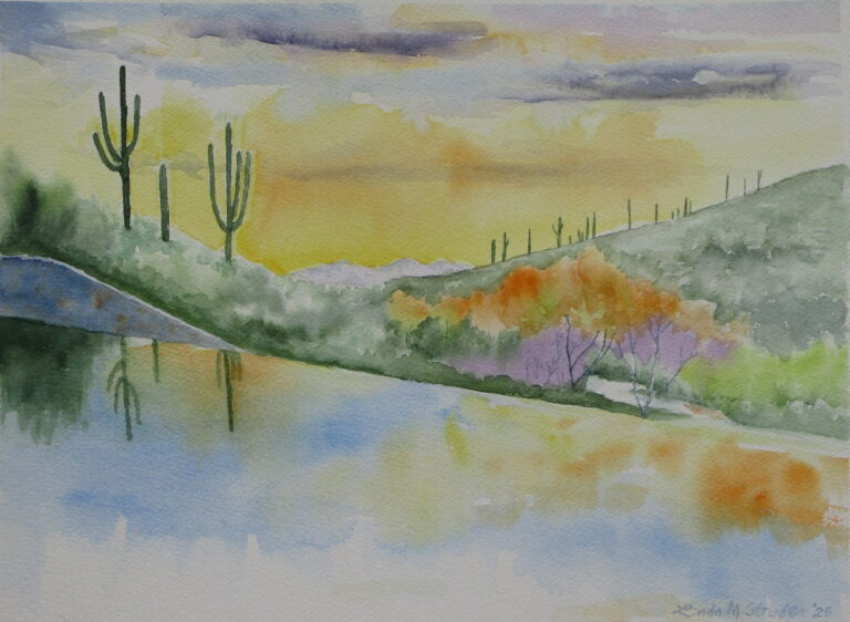 Sabino Canyon Dam 12 x 16 2025 768x562