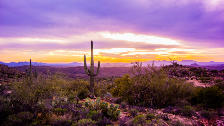 Tucson Awakenings 768x432