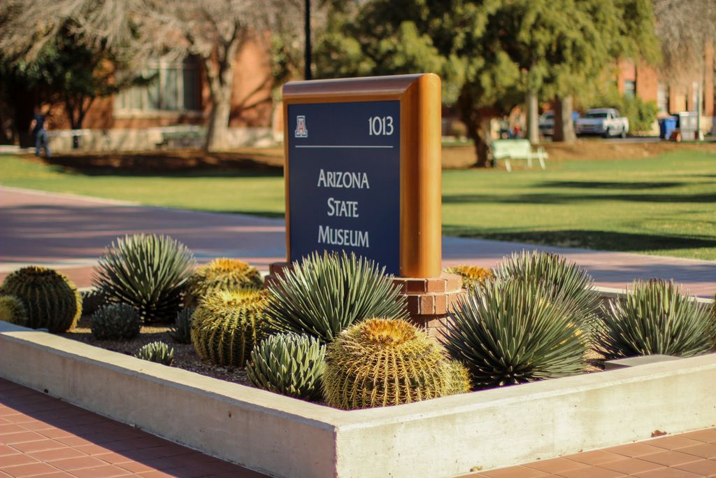 Arizona State Museum Tucson AZ with saguaro cactus University of Arizona campus