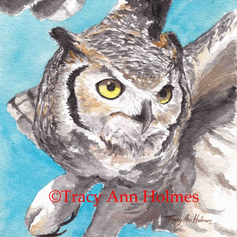 Owl 2 768x768