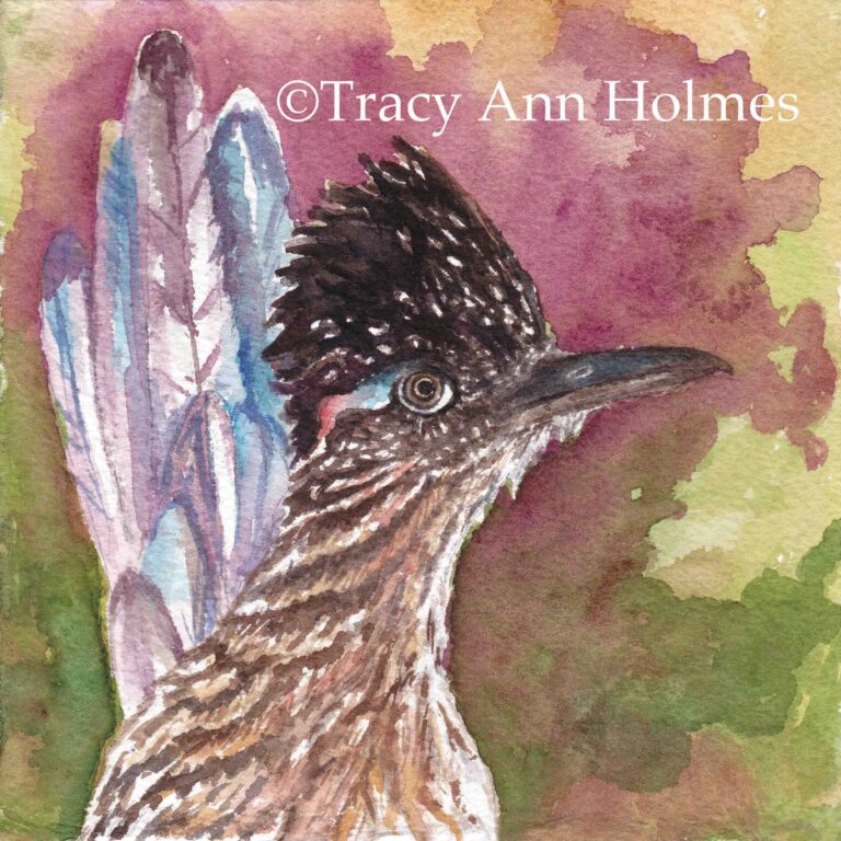 Roadrunner 1 768x768
